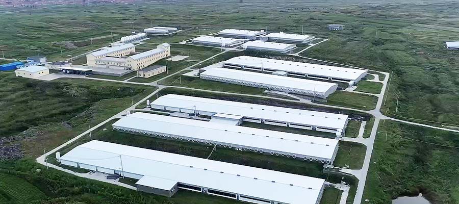 產(chǎn)業(yè)布局